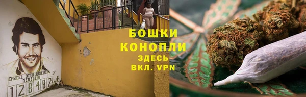 амф Осинники